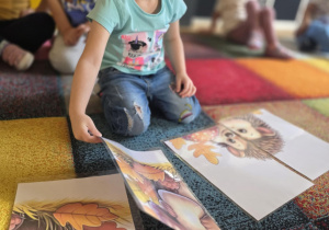 Dziewcczynka układa sylwetę jeża z czterech elementów.