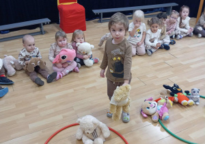 Chłopiec segreguje misia pod względem wielkości.