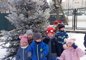 Zdjęcie grupowe na tle choinki.