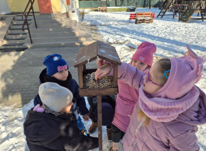 Jeżyki wsypują do karmnika smakołyki dla ptaków.
