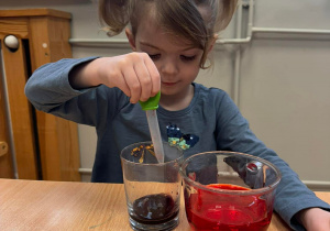 Hania przelewa kolorową wodę przy pomocy pipety