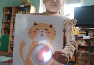 dziewczynka podświetla brzuch kota