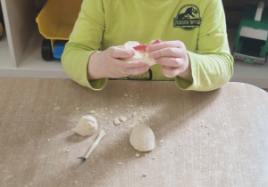 Rozbijanie gipsowego jajka, w którym znajdował się dinozaur.