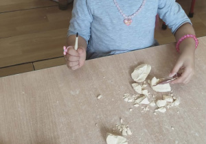 Rozbijanie gipsowego jajka, w którym znajdował się dinozaur.