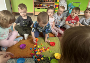 segregowanie dinozaurów wg koloru