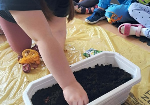 Dziewczynka sadzi cebulki.