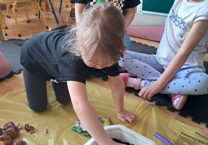 Dziewczynka sadzi cebulki.