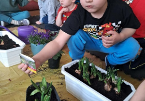 Chłopiec sieje nasiona.