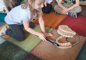 Dziewczynka prezentuje jak myć zęby.