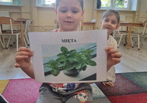 Dzieci poznają rośliny, które można hodować na parapecie.
