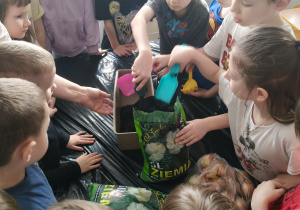 Dzieci podczas sadzenia cebuli.