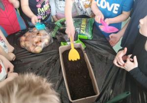 Dzieci podczas sadzenia cebuli.