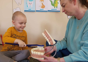 Chłopiec szczotkuje anatomiczny schemat szczęki.