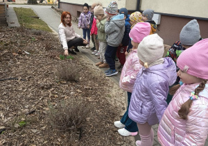 Nauczycielka pokazuje dzieciom wyrastające tulipany