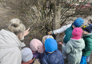 Dzieci obserwują zmieniajacą się przyrodę.