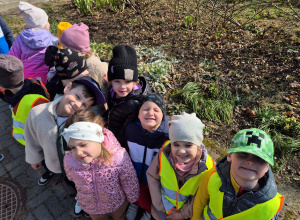 Jeżyki szukają wiosny.