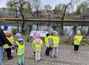 Fauna i flora naszego miasta