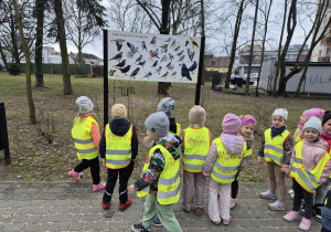 Dzieci stoją przy tablicy prezentującej różne gatunki ptaków