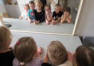 Jeżyki przyglądają się budowie twarzy.