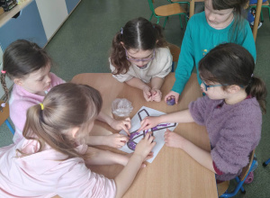 Dzień Osób Chorych na Padaczkę