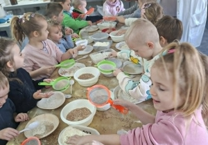 oglądanie różnych ziaren, przesiewanie
