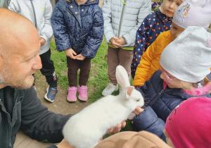 Dziewczynka z królikiem.